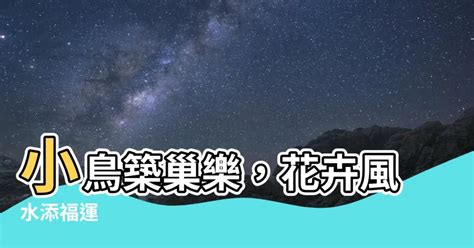 小鳥築巢 風水|【小鳥築巢】小鳥築巢現徵兆！風水達人曝「好運降臨」的跡象，。